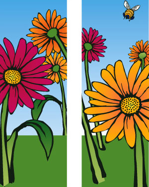 Flowers: Gerber Daisies Double Banner