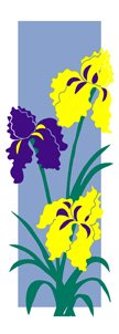 Blooming Iris Flower Banner