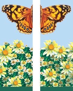 Flowers: Butterfly & Daisies Double Banner