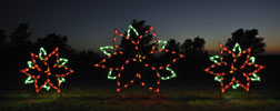 Brilliant Poinsettia Holiday Flower LED Light Scene Display, Commercial Quality