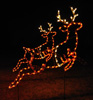 Set of 2 Prancing Reindeer Animated Holiday LED Lights Display, perfect for Santa Christmas Scene
