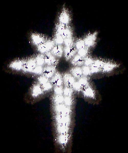 Large Garland Star of Bethlehem - Pure White