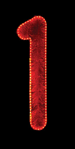 Large Character Display - Numbers 0-9, Red Garland and red LED rope light