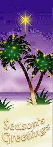 Palm Tree Christmas Season's Greetings Banner
