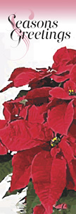 Seasons Greeting Poinsettias Banner