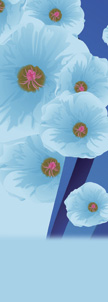 Powder Blue Floral Banner