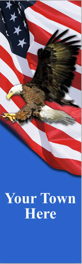 Flying Eagle with USA Flag Light Pole Banner