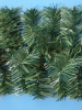commercial-green-branch-garland.jpg