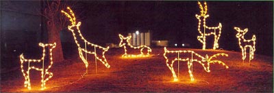 Silhouette Deer Herd