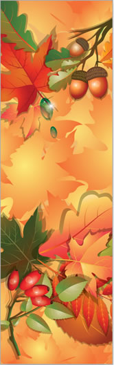 Fall Leaves and Acorns Banner
