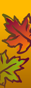 Fall Leaves on Yellow Background Banner