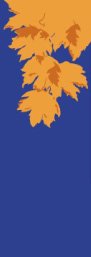 Fall Leaves on Blue Fabric Banner