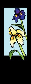 Iris Flower Junior Banner