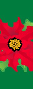 Poinsettia Junior Banner