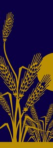 Wheat Design Banner