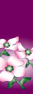 Dogwood Flowers Banner on Purple Background