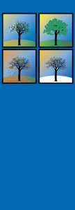 Four Seasons Tree Banner