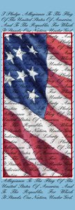 Flag & Pledge of Allegiance Banner