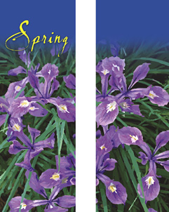 Spring Beauty Siberian Iris Double Banner Set
