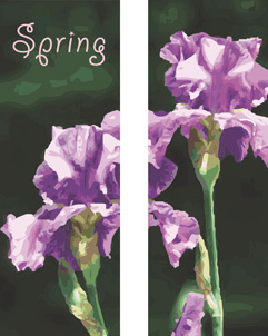 Bearded Iris Double Banner Set