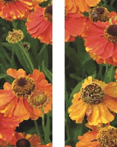 Orange Poppies Double Banner Set