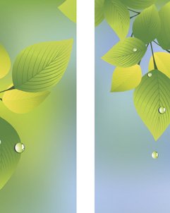 Summer Leaves & Raindrops Banner