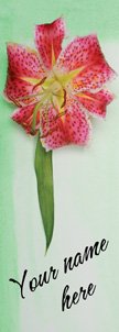 Watercolor Tiger Lily Banner