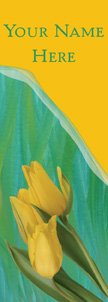 Watercolor Daffodils Banner