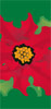 Poinsettia Junior Banner