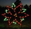 Holiday Lights - Single Poinsettia