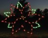 Holiday Lights - Single Poinsettia