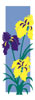 Blooming Iris Flower Banner