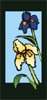 Iris Flower Junior Banner