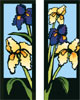 Flowers: Iris Double Banner
