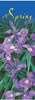 Spring Beauty Siberian Iris Banner