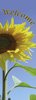 Welcome Sunflower Banner