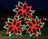 Holiday Lights - Poinsettia Cluster
