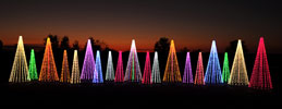 images/tiny/Outdoor_LED_Christmas-Tree-Lights_Commercial_decorations_small.jpg